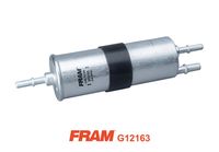 FRAM G12163 - Filtro combustible