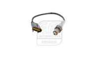 EFI AUTOMOTIVE 301651 - Sonda Lambda