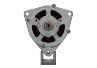 BV PSH 556.002.055.381 - Alternador