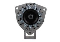 BV PSH 556.025.080.311 - Alternador