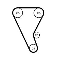 CONTINENTAL CTAM CT1257 - Correa dentada