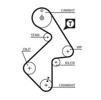 GATES T199RB - Correa dentada