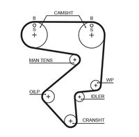 GATES T125RB - Correa dentada