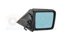 VAN WEZEL 3024804 - Retrovisor exterior