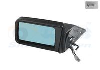 VAN WEZEL 3024813 - Retrovisor exterior