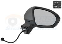 VAN WEZEL 3810818 - Retrovisor exterior