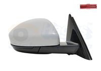 VAN WEZEL 0261808 - Retrovisor exterior