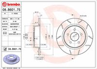 BREMBO 08.B601.75 - Disco de freno