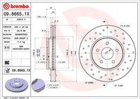 BREMBO 09.8665.1X - Disco de freno