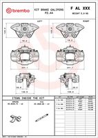 BREMBO F AL H52 - Juego de ejes de pinza de freno