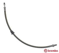 BREMBO T 24 030 - Tubo flexible de frenos