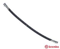 BREMBO T 59 082 - Tubo flexible de frenos