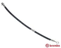 BREMBO T 59 024 - Tubo flexible de frenos