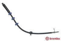 BREMBO T 61 035 - Tubo flexible de frenos