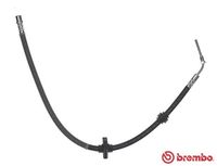 BREMBO T 61 059 - Tubo flexible de frenos