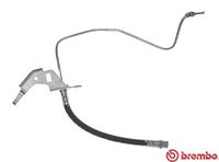 BREMBO T 59 074 - Tubo flexible de frenos