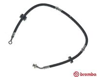 BREMBO T 79 009 - Tubo flexible de frenos