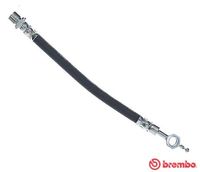 BREMBO T 83 117 - Tubo flexible de frenos