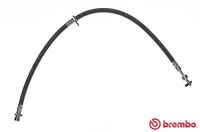 BREMBO T 83 099 - Tubo flexible de frenos