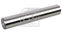 FEBI BILSTEIN 104034 - Pivote del muñón del eje