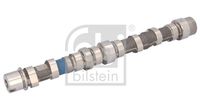 FEBI BILSTEIN 183800 - Árbol de levas