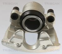 TRISCAN 8175 10108 - Pinza de freno