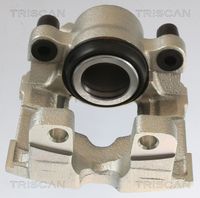 TRISCAN 8175 11106 - Pinza de freno