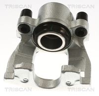 TRISCAN 8175 11116 - Pinza de freno