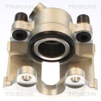 TRISCAN 8175 11136 - Pinza de freno