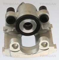 TRISCAN 8175 11201 - Pinza de freno