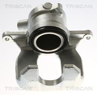 TRISCAN 8175 13238 - Pinza de freno