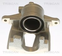 TRISCAN 8175 10109 - Pinza de freno