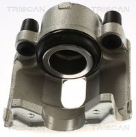 TRISCAN 8175 15112 - Pinza de freno