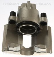 TRISCAN 8175 16108 - Pinza de freno