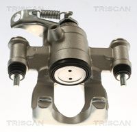 TRISCAN 8175 10238 - Pinza de freno