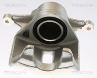 TRISCAN 8175 13109 - Pinza de freno