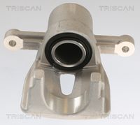 TRISCAN 8175 13206 - Pinza de freno