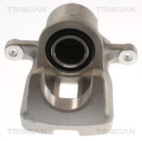 TRISCAN 8175 13235 - Pinza de freno