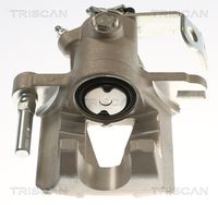 TRISCAN 8175 24218 - Pinza de freno