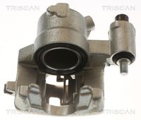 TRISCAN 8175 15102 - Pinza de freno