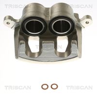 TRISCAN 8175 16210 - Pinza de freno