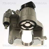 TRISCAN 8175 28111 - Pinza de freno