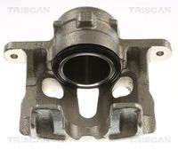 TRISCAN 8175 29145 - Pinza de freno