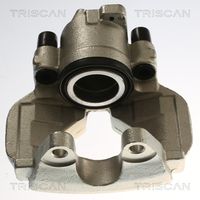 TRISCAN 8175 29170 - Pinza de freno