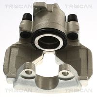 TRISCAN 8175 29183 - Pinza de freno