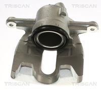 TRISCAN 8175 29188 - Pinza de freno