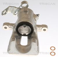 TRISCAN 8175 24201 - Pinza de freno