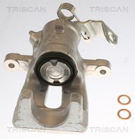 TRISCAN 8175 24202 - Pinza de freno