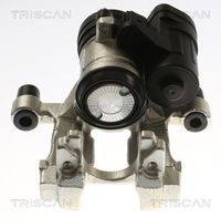 TRISCAN 8175 292008 - Pinza de freno