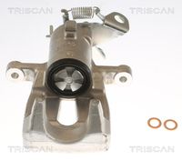 TRISCAN 8175 25203 - Pinza de freno